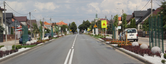 Nowa aranżacja tzw. plant Nowa aranżacja tzw. plant
