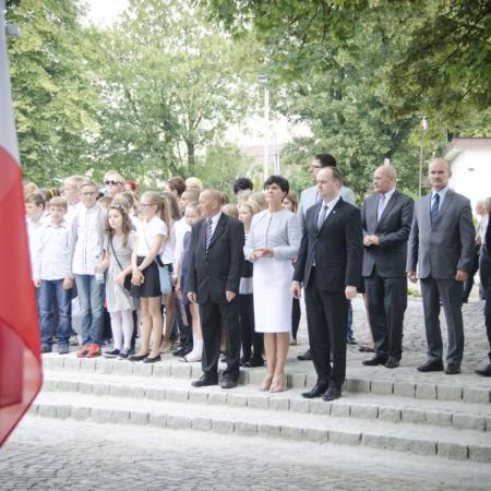 Wyświetl org. rozmiar