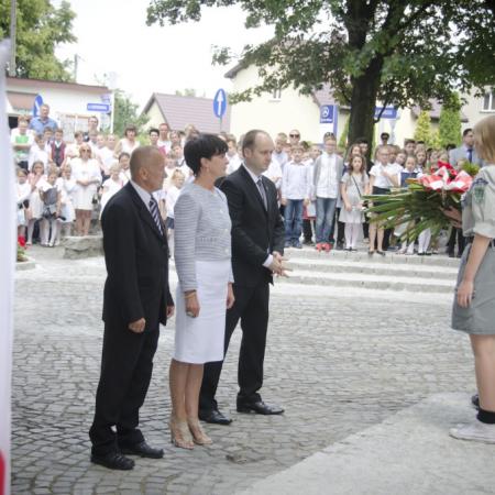 Wyświetl org. rozmiar