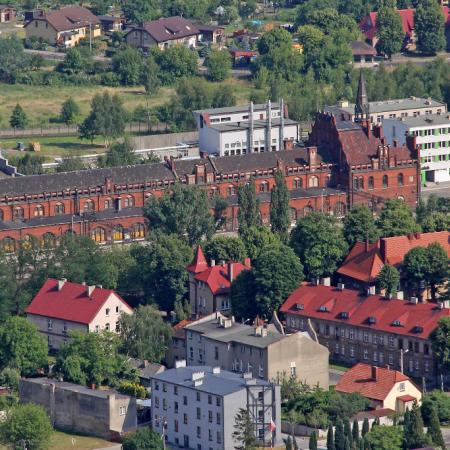 Wyświetl org. rozmiar