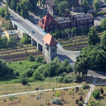 Wyświetl org. rozmiar