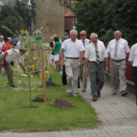Wyświetl org. rozmiar