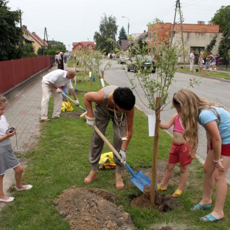 Wyświetl org. rozmiar