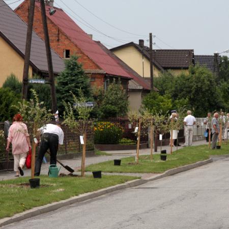 Wyświetl org. rozmiar