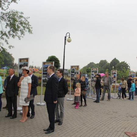 Wyświetl org. rozmiar