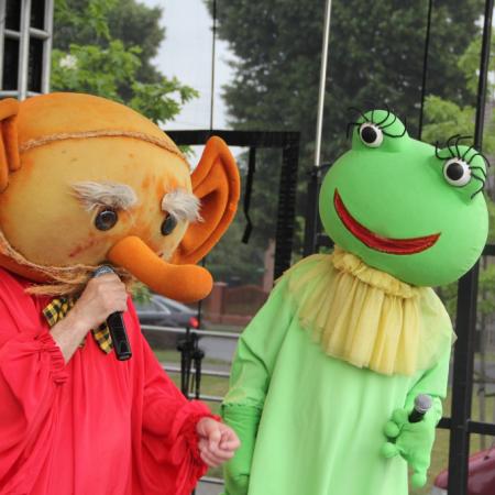 Wyświetl org. rozmiar