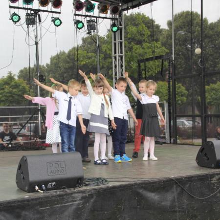 Wyświetl org. rozmiar