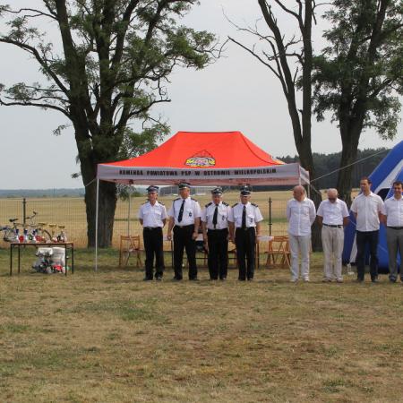 Wyświetl org. rozmiar