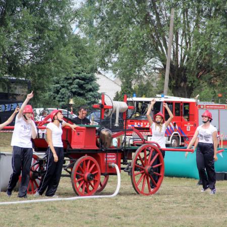 Wyświetl org. rozmiar