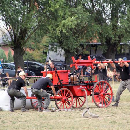 Wyświetl org. rozmiar