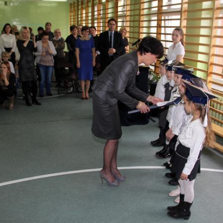 Wyświetl org. rozmiar