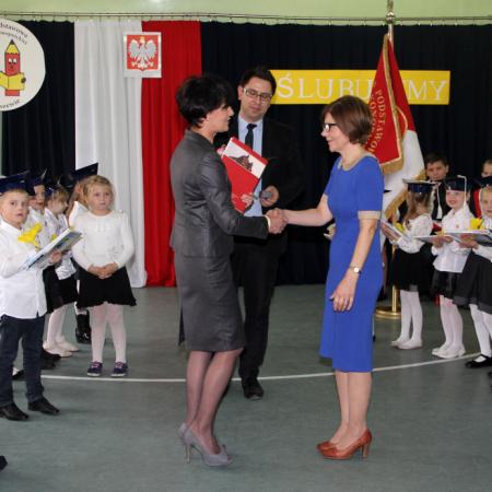 Wyświetl org. rozmiar