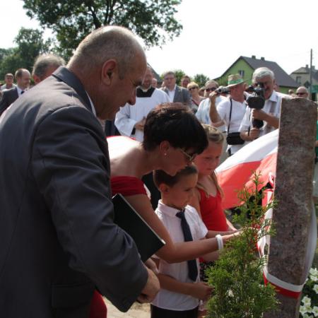 Wyświetl org. rozmiar