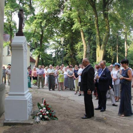 Wyświetl org. rozmiar
