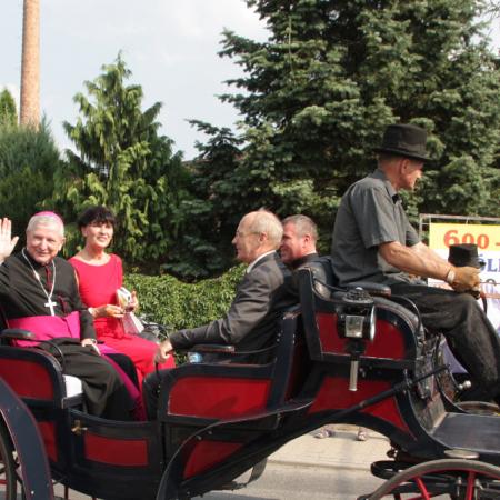 Wyświetl org. rozmiar