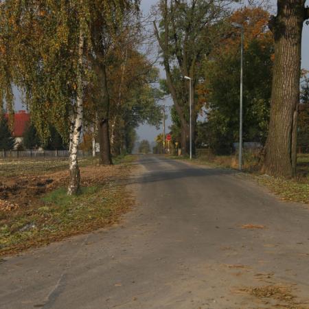 Wyświetl org. rozmiar