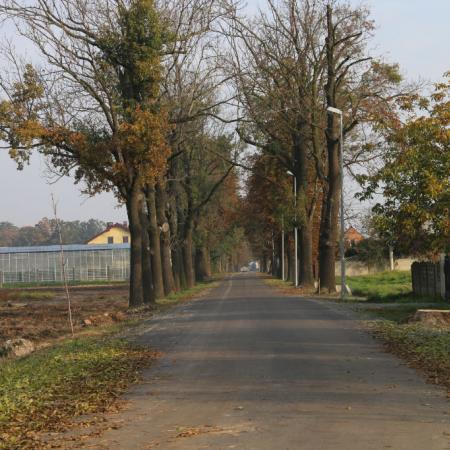 Wyświetl org. rozmiar